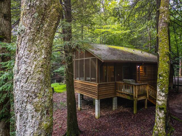 Opossum Creek Retreat managed Airbnb listing 3