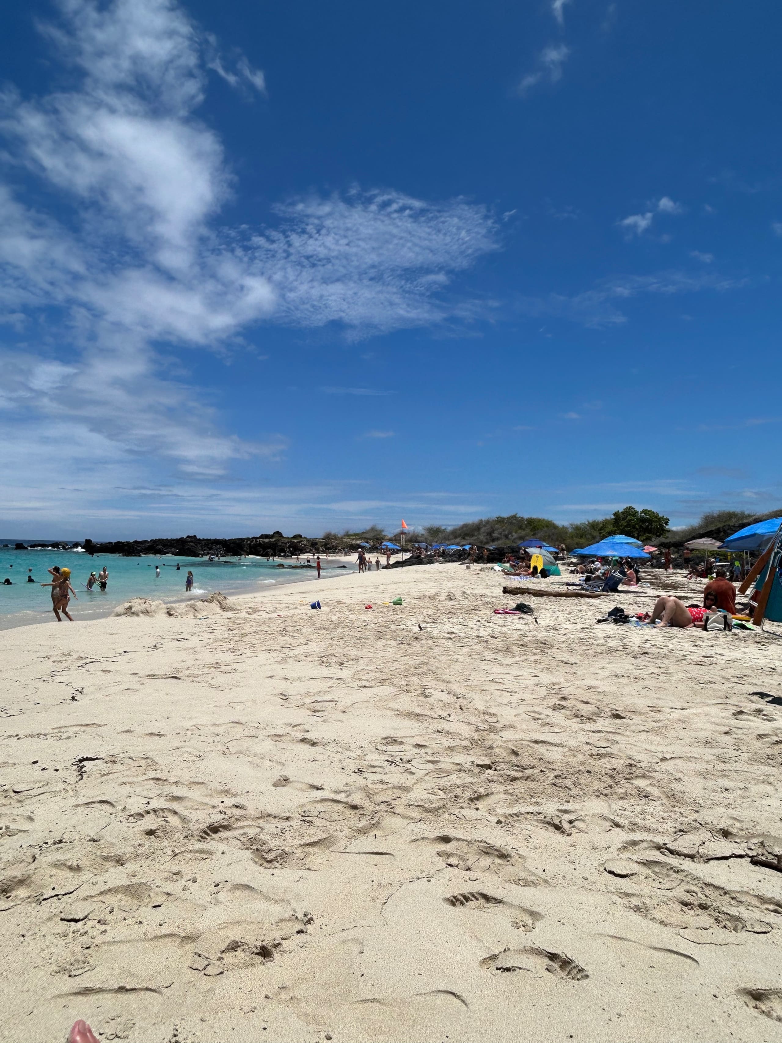 Villa in Kailua-Kona · ★4.82 · 3 bedrooms · 5 beds · 2.5 private baths - Image 13
