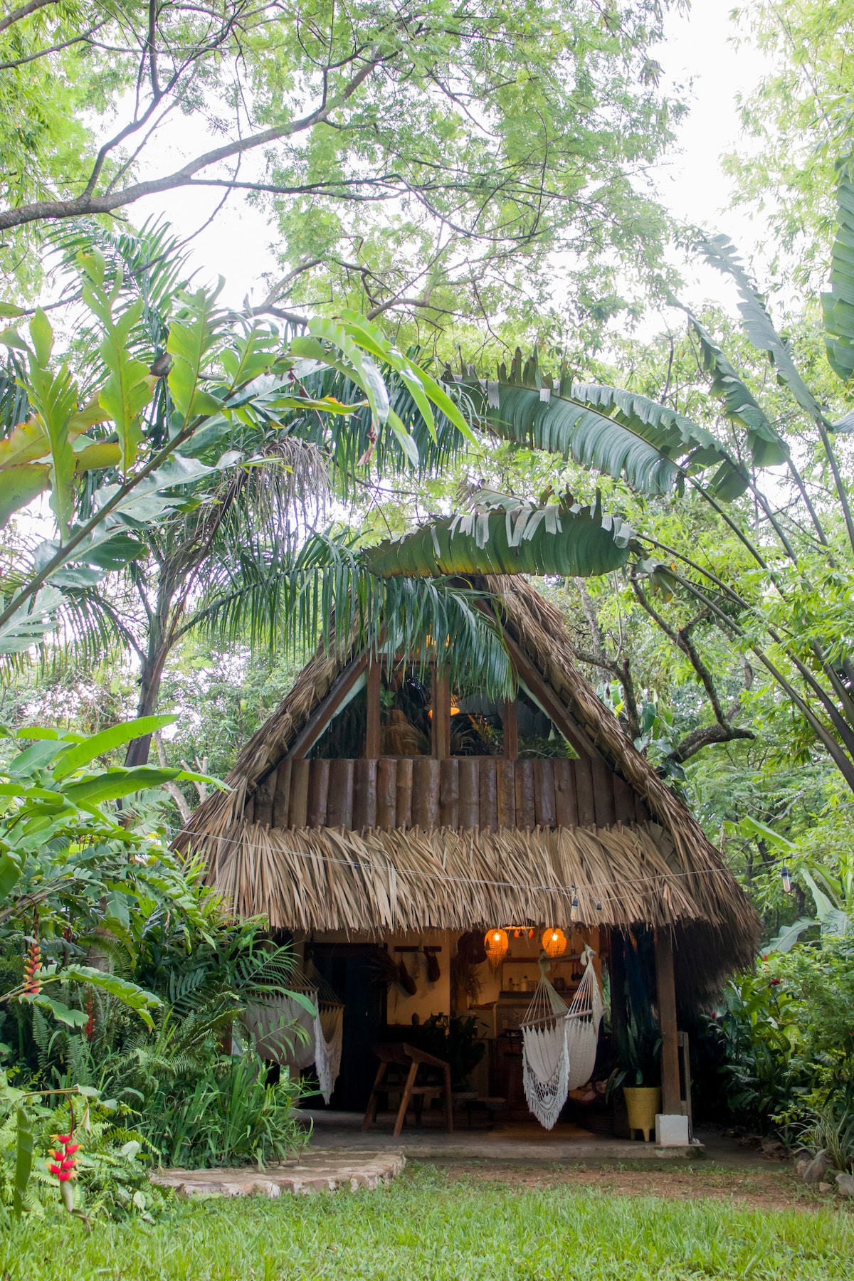 The cabin's exterior features a tropical design with a thatched roof made of jaragua grass. It is surrounded by lush greenery, including tall palm leaves and vibrant plants. Soft lighting is visible through the windows, suggesting a warm and inviting space inside.