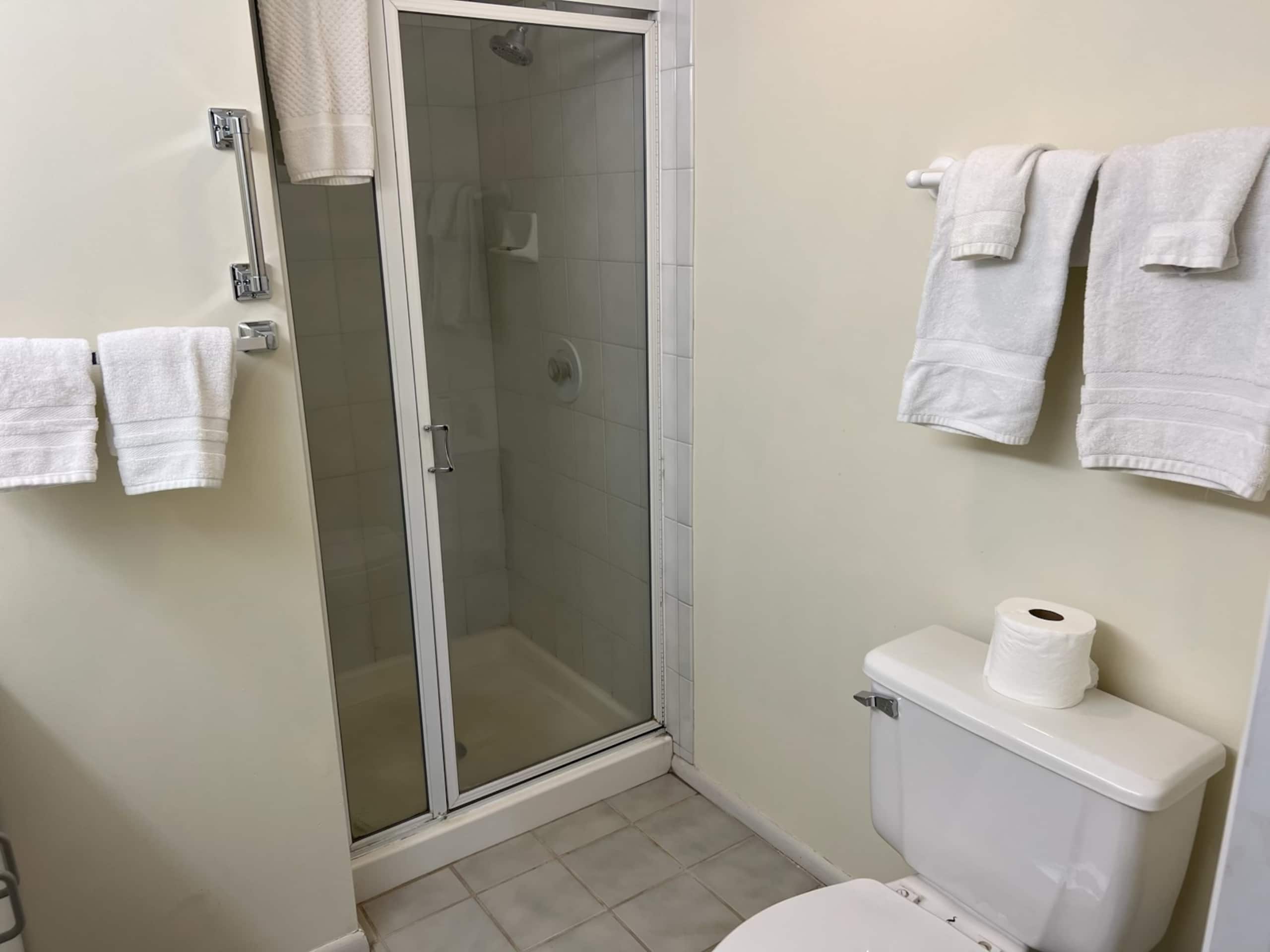 3br/3bath Condo Paniolo Greens Waikoloa-air-con - Image 16