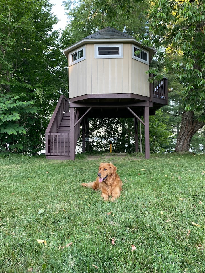 ป้อมต้นไม้เตียงขนาดใหญ่  รูปภายในที่กำลังจะเกิดขึ้นในฤดูใบไม้ผลิหลังจากการอัพเดท 