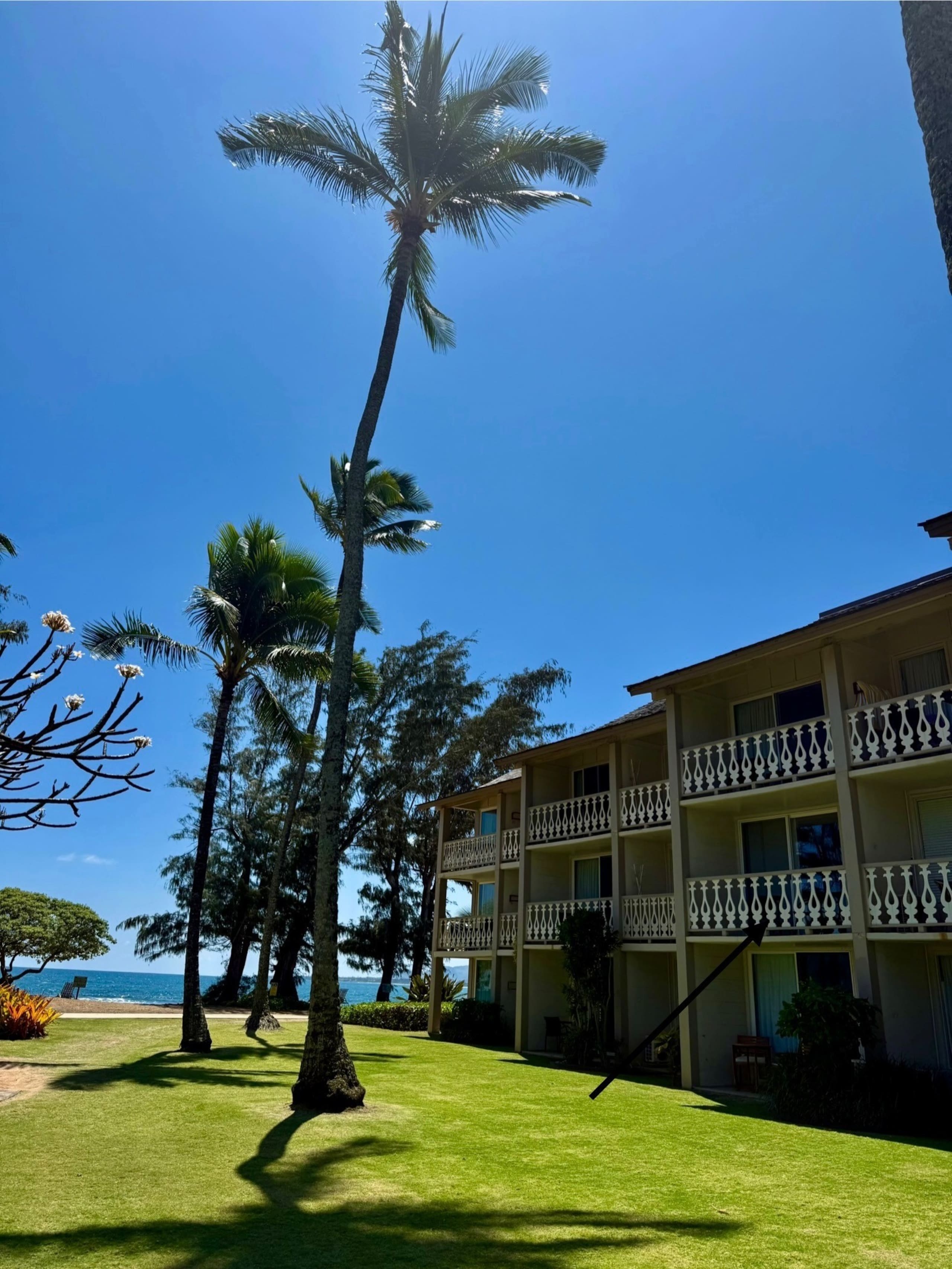 Condo in Kapaa · ★4.84 · Studio · 1 bed · 1 private bath - Image 25
