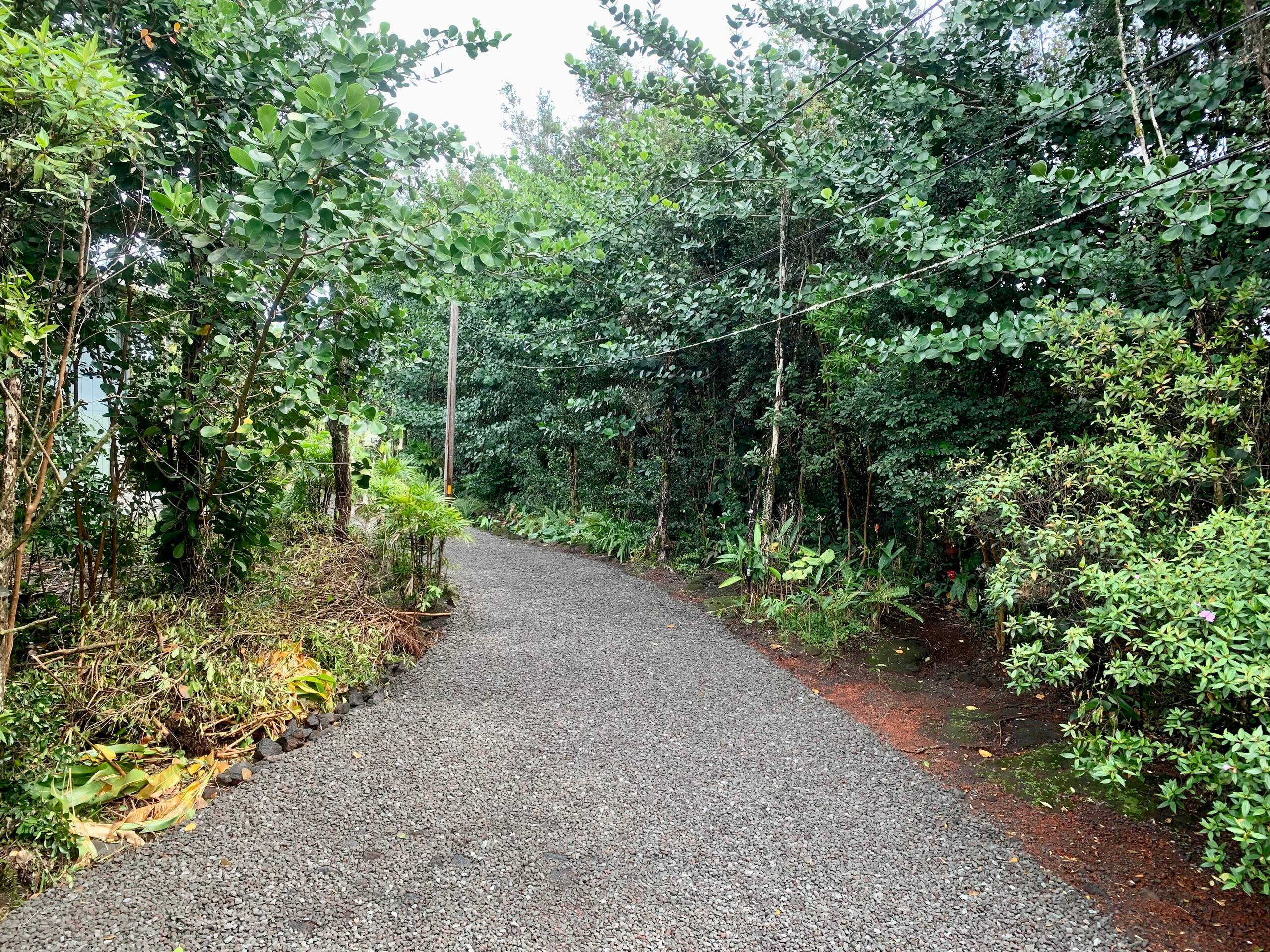 Simply Paradise - walk to Ocean Cliffs - Photo 8