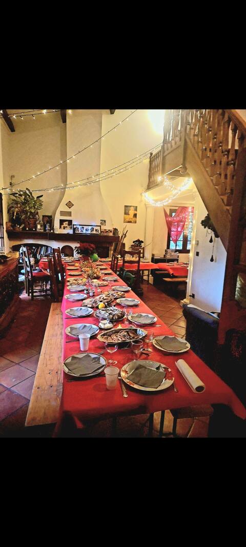 Dispo Noël - Provencal house 12p. 20mn from the sea