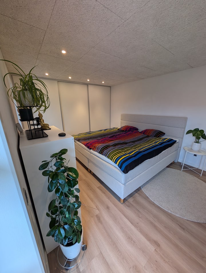 Habitación 1