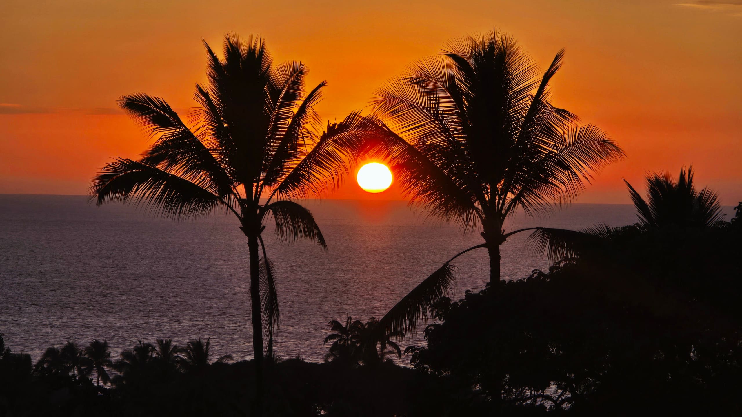 Condo in Kailua-Kona · ★4.9 · 2 bedrooms · 3 beds · 2 private baths - Image 53