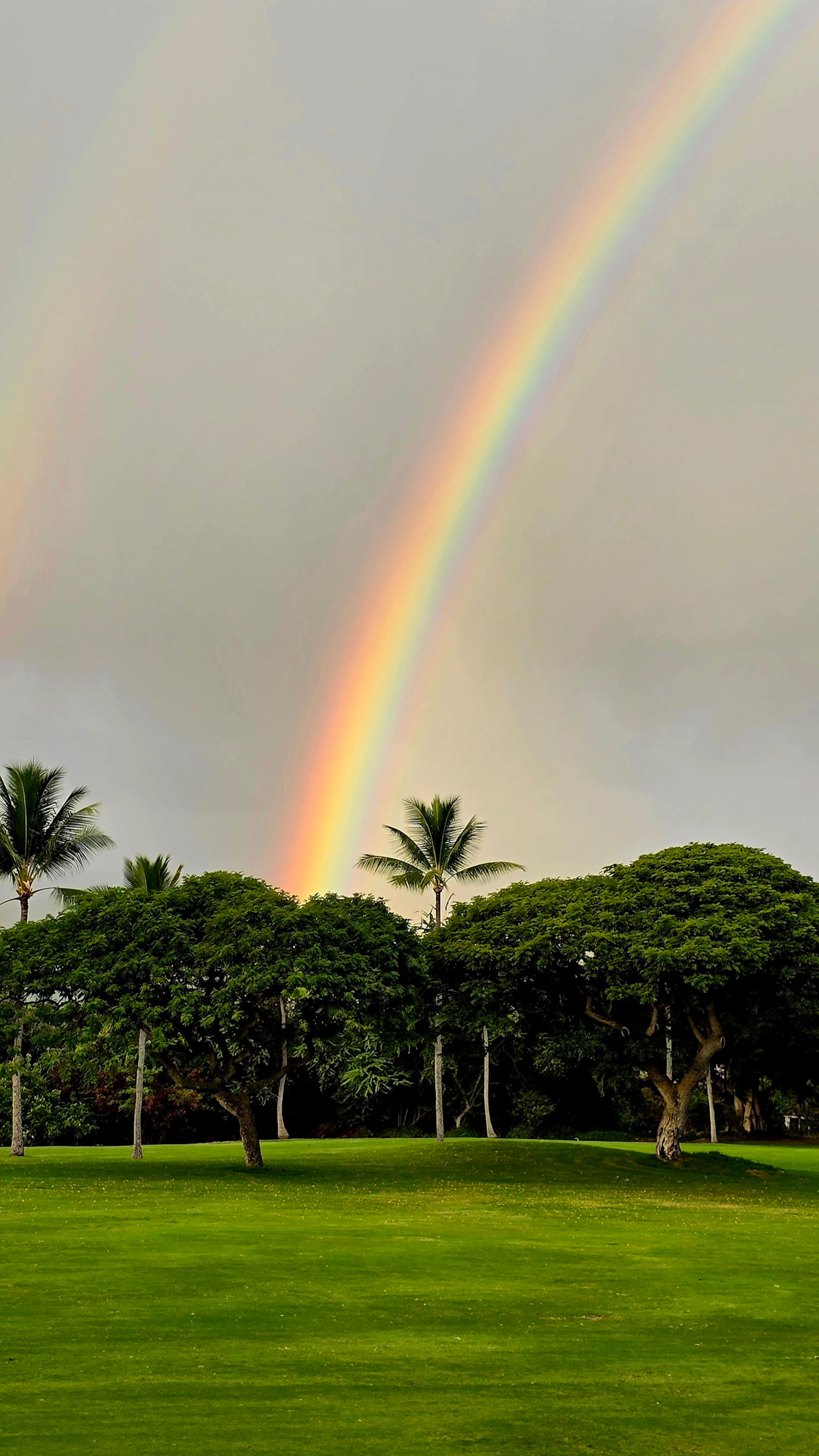 Condo in Kailua-Kona · ★4.9 · 2 bedrooms · 3 beds · 2 private baths - Image 52