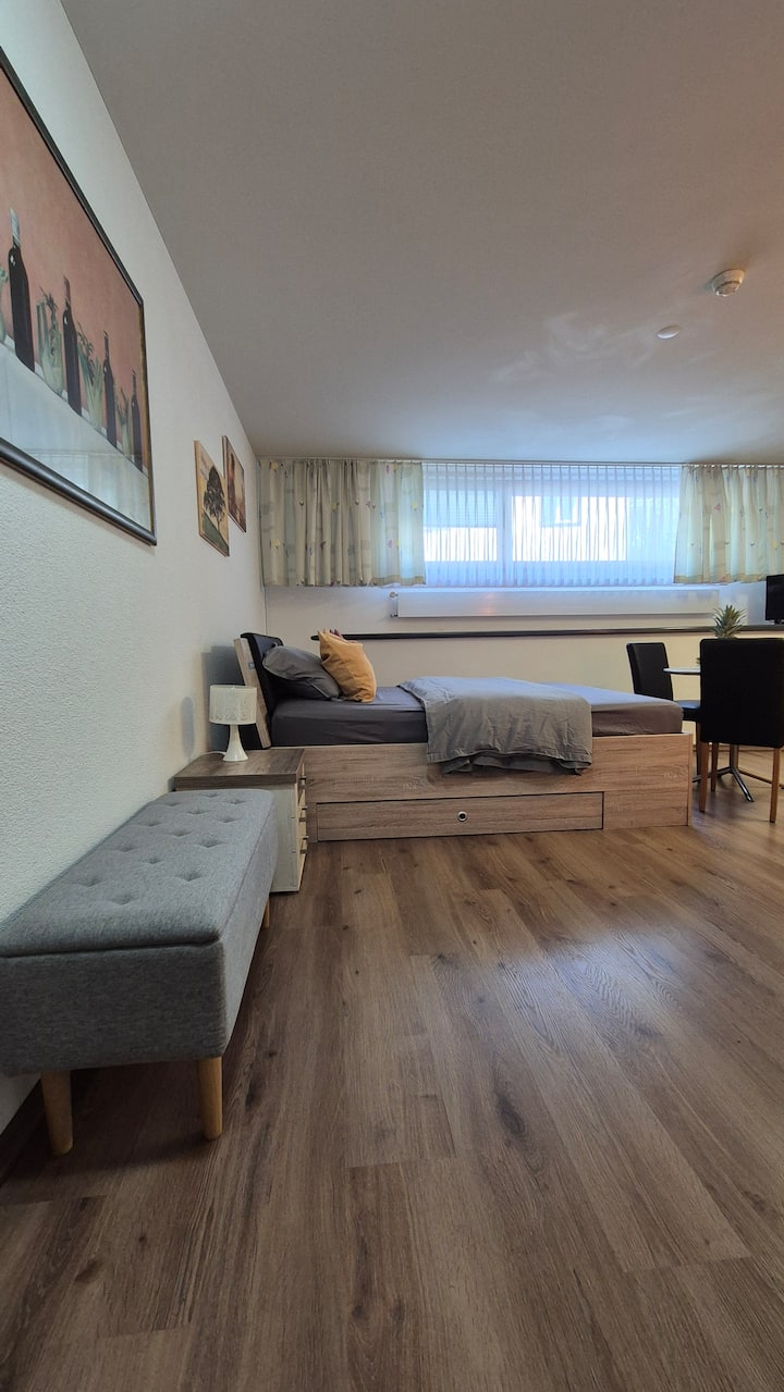 Modern Studio In Prime Location - エンゲルベルク