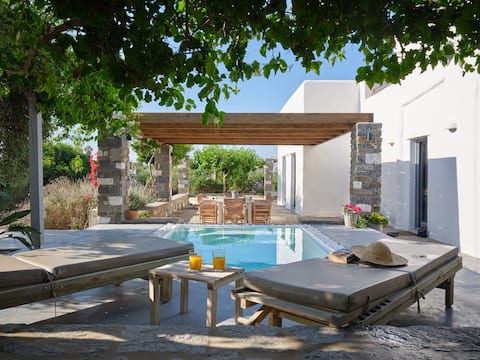 SeaSalt Dream Villa, Santa Maria 5 min from Naousa