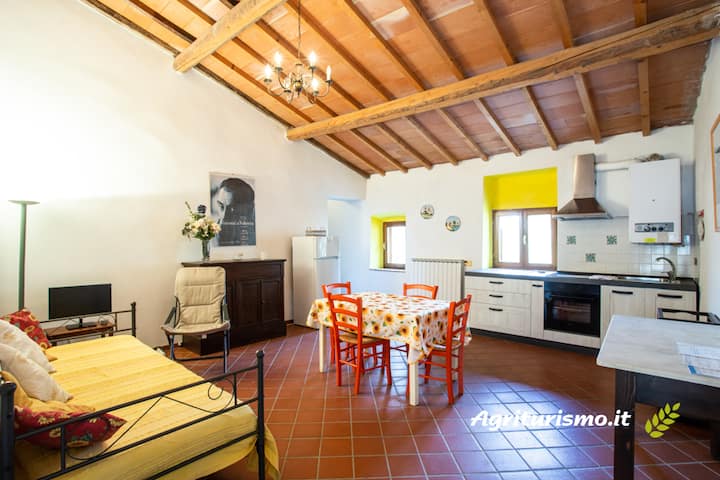 Casa Usignolo - Fattorie Inghirami Volterra - Volterra