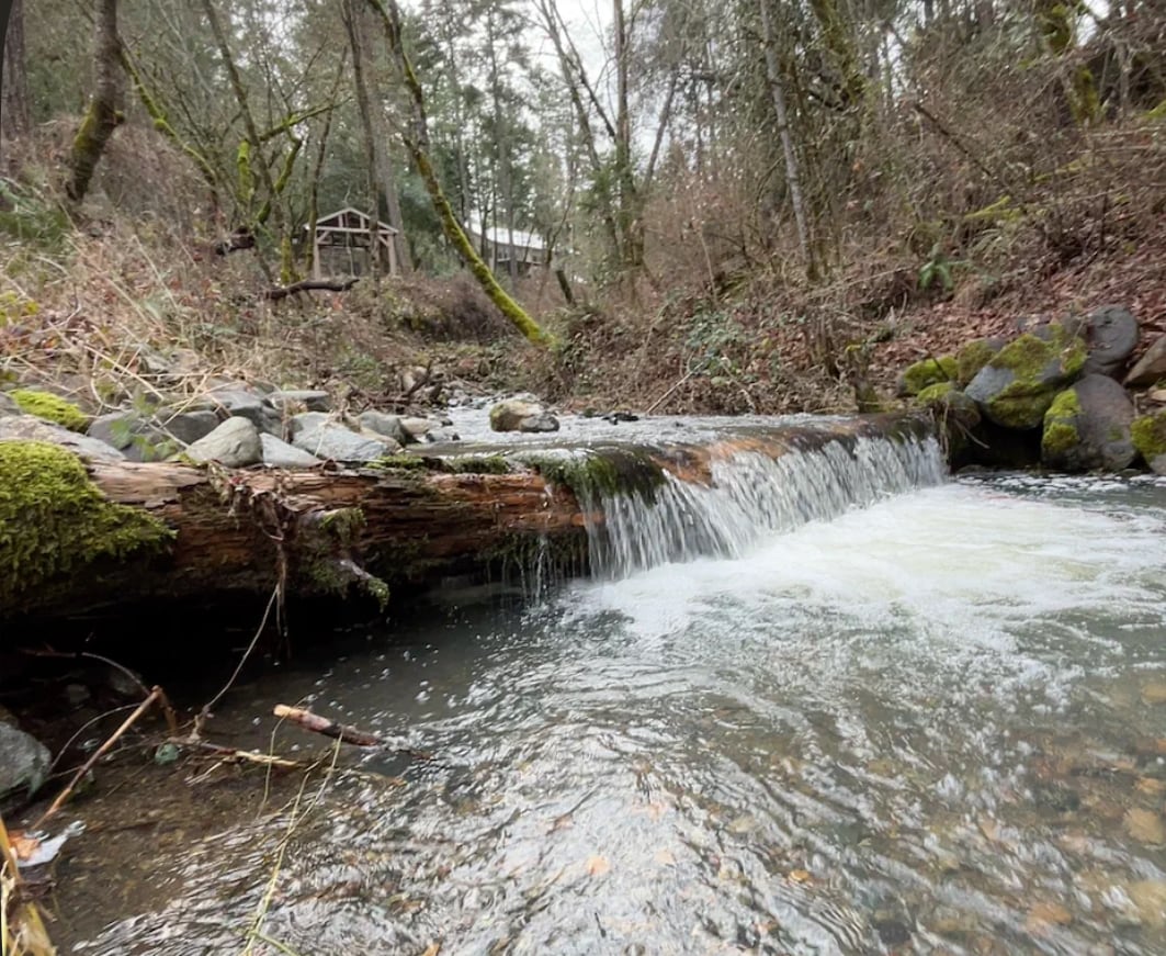 A serene stream flows over a moss-covered log, creating gentle ripples in the water. Surrounding the stream, lush greenery and trees provide natural shade, while a wooden structure is faintly visible in the background, nestled within the tranquil forest setting.