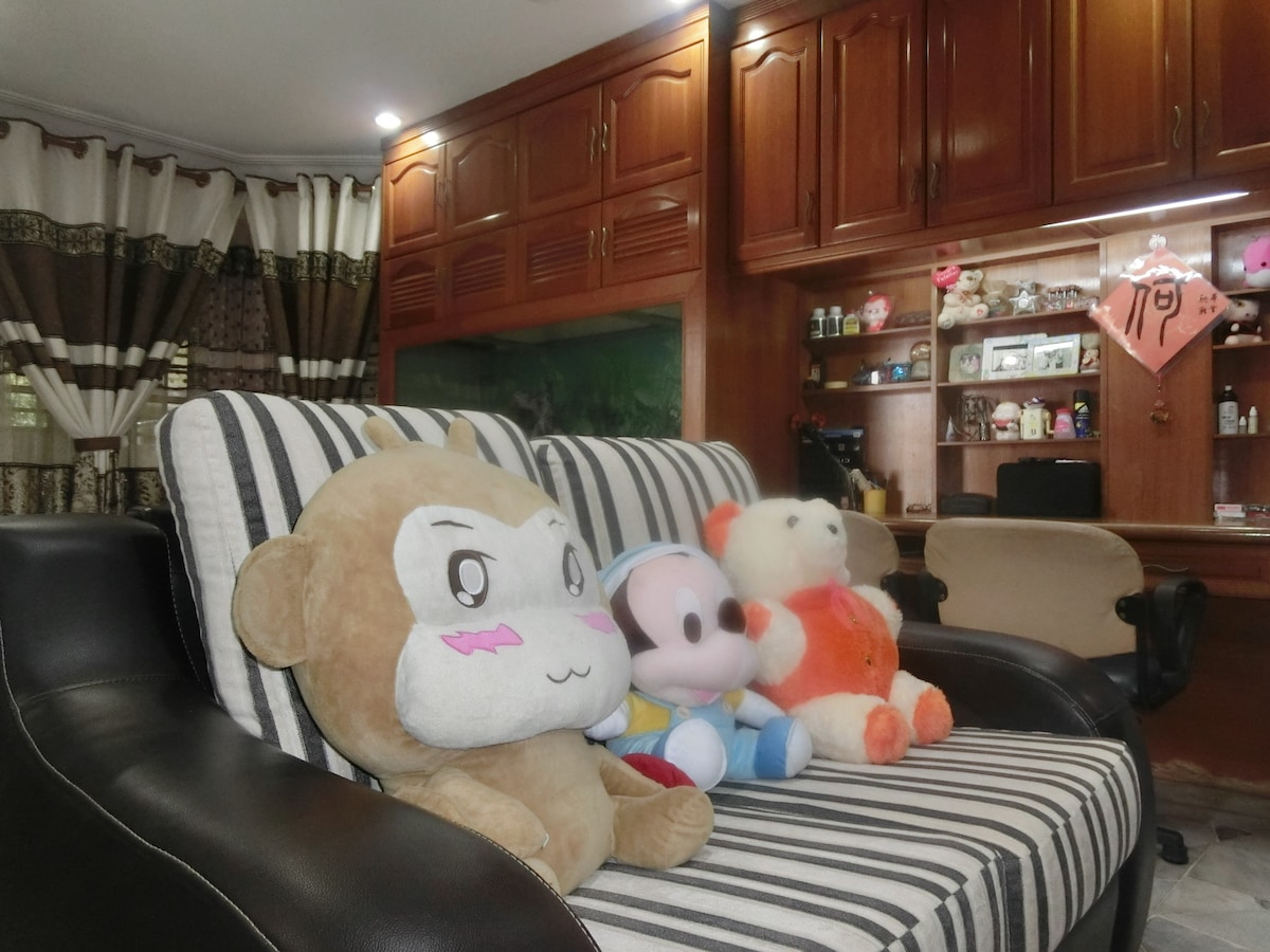 A comfortable seating area features a striped sofa with three plush toys arranged on it, adding a playful touch. The background showcases wooden cabinetry and a workspace, illuminated by soft lighting. Decorative curtains frame the window, contributing to a cozy ambiance.