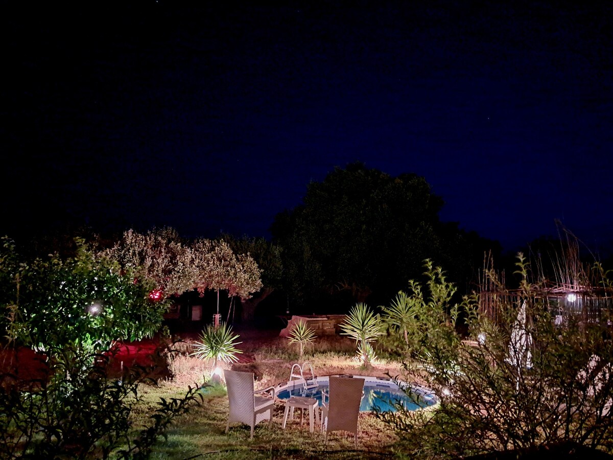 A serene outdoor area is depicted under a night sky, featuring a small, illuminated pool surrounded by landscaped greenery. Comfortable seating is provided by wicker chairs, while well-maintained shrubbery and palm plants add to the tranquil environment.