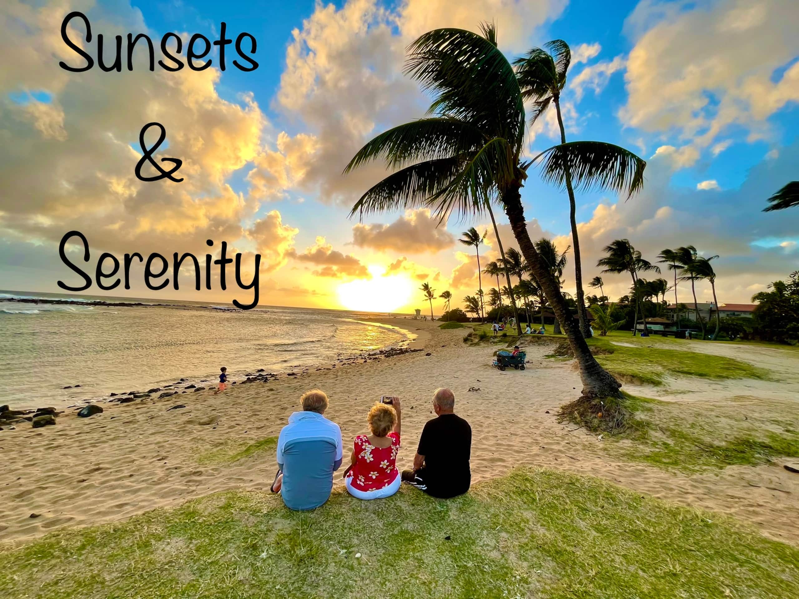 Kauai Paradise-3 hot-tubs-2Waterslides-2bdrm-3bath - Photo 77