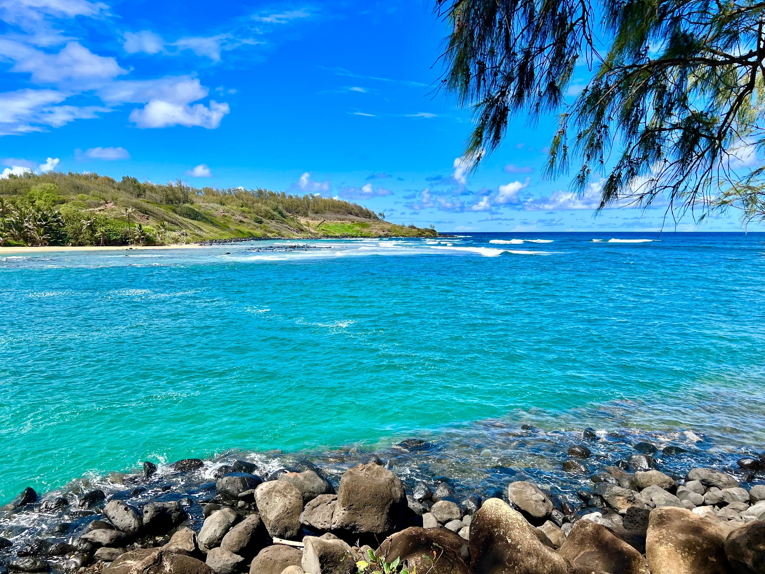 Kauai Paradise-3 hot-tubs-2Waterslides-2bdrm-3bath - Photo 44