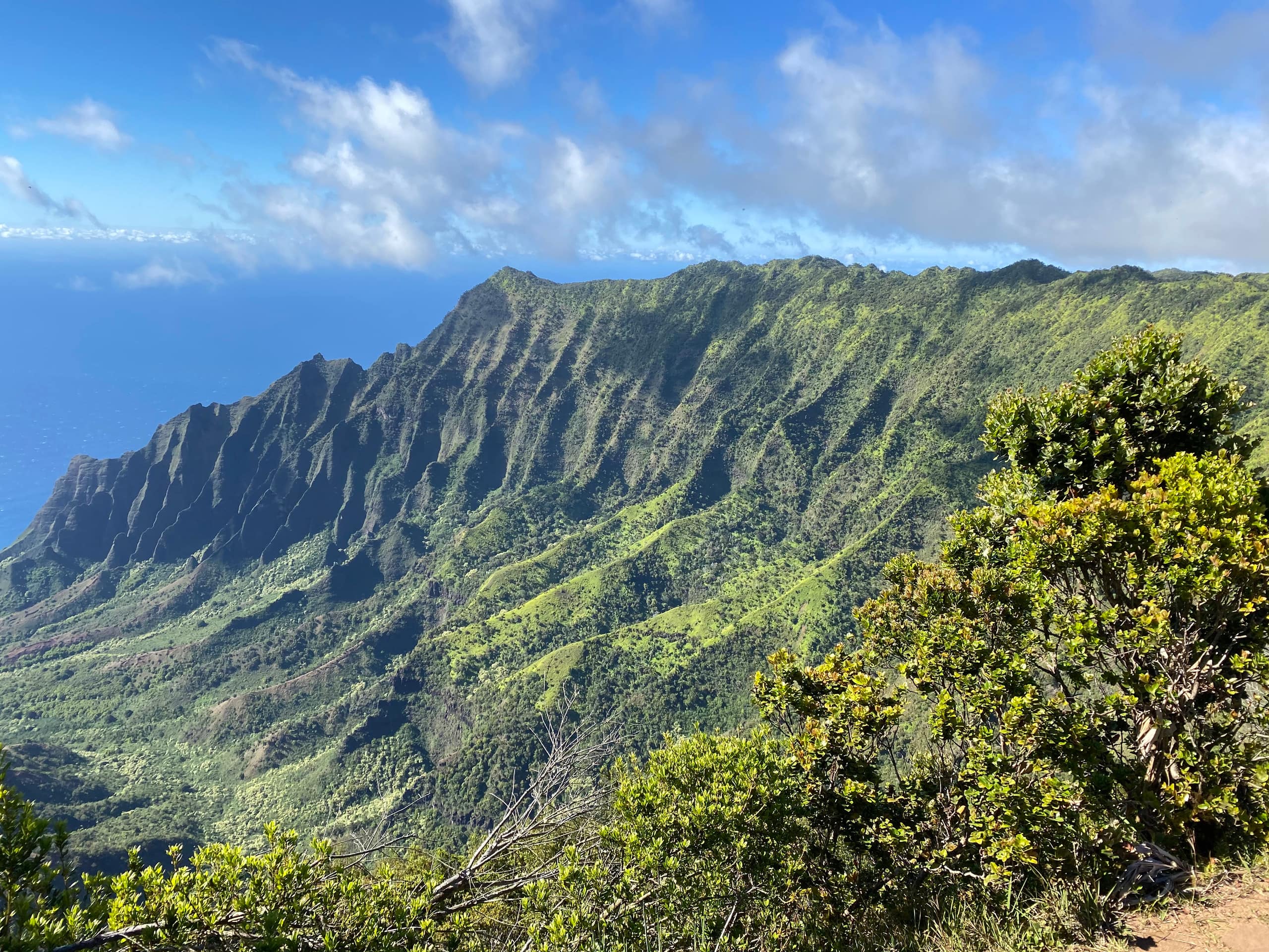 Kauai Paradise-3 hot-tubs-2Waterslides-2bdrm-3bath - Photo 91