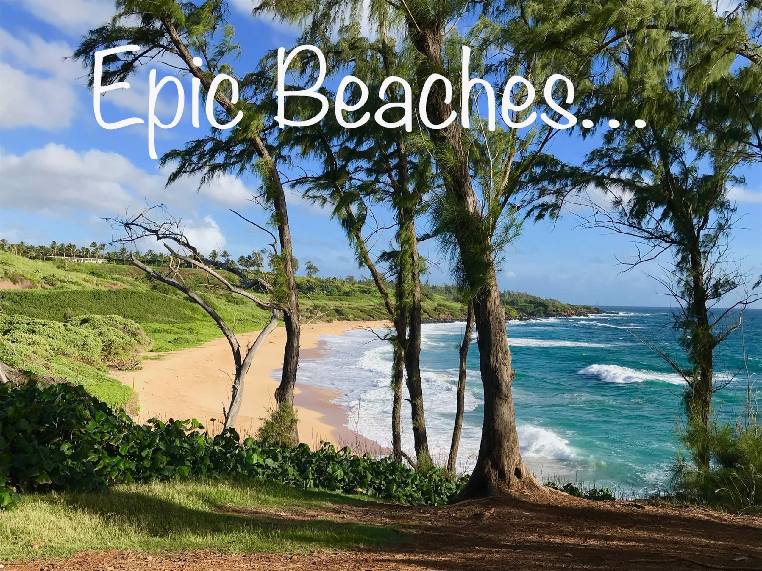 Kauai Paradise-3 hot-tubs-2Waterslides-2bdrm-3bath - Photo 41