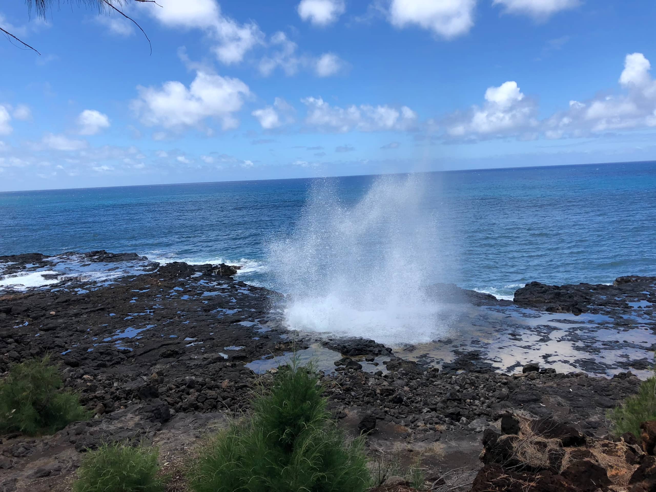 Kauai Paradise-3 hot-tubs-2Waterslides-2bdrm-3bath - Photo 85
