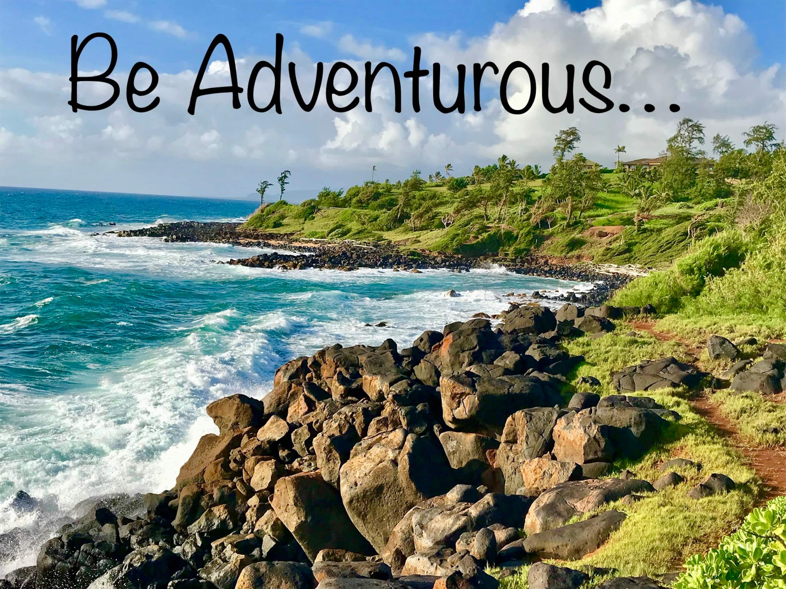 Kauai Paradise-3 hot-tubs-2Waterslides-2bdrm-3bath - Photo 79