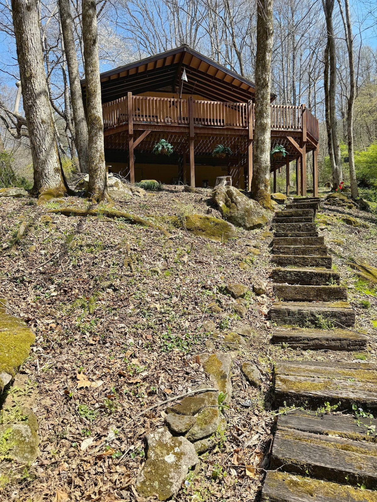 A charming cabin is nestled among tall trees, featuring a large deck with potted plants. Surrounding the cabin, a mix of natural stone and moss-covered ground leads up to a winding staircase constructed from wooden steps.
