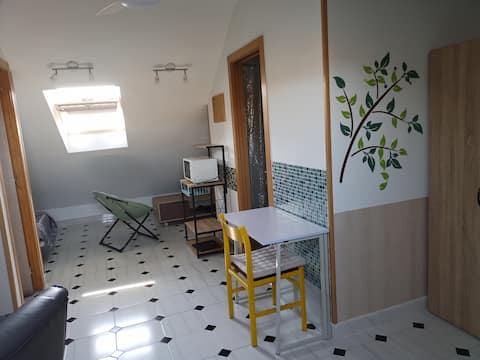 Very spacious 45 m2 penthouse room in Pinto