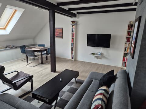 Spacious luxury apartment in the city centre