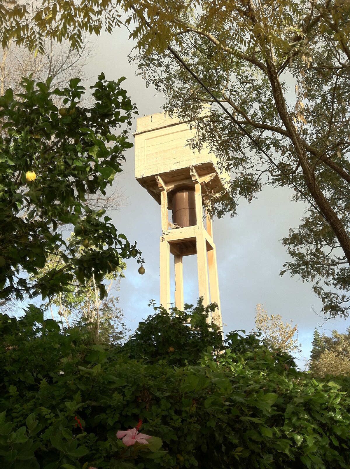 A water tower stands amidst lush greenery, supported by four tall legs. The structure is made of wood, featuring a cylindrical water tank at its center. Surrounding trees frame the tower, creating a serene natural setting.