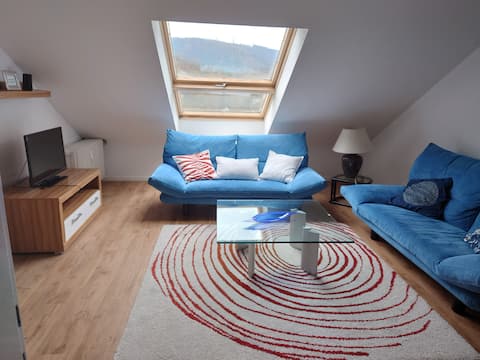 Lovely Flat with Panoramic View on the RiverNeckar