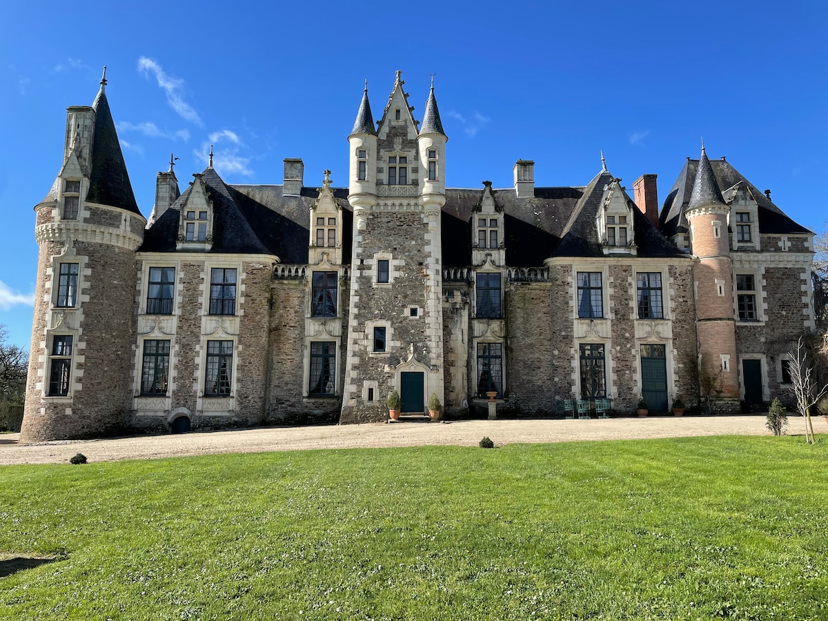 The exterior of the chateau features an imposing stone façade with multiple towers and pointed roofs. Large windows adorn the structure, reflecting the clear blue sky. A smooth, grassy area in the foreground enhances the elegance of this historic estate.