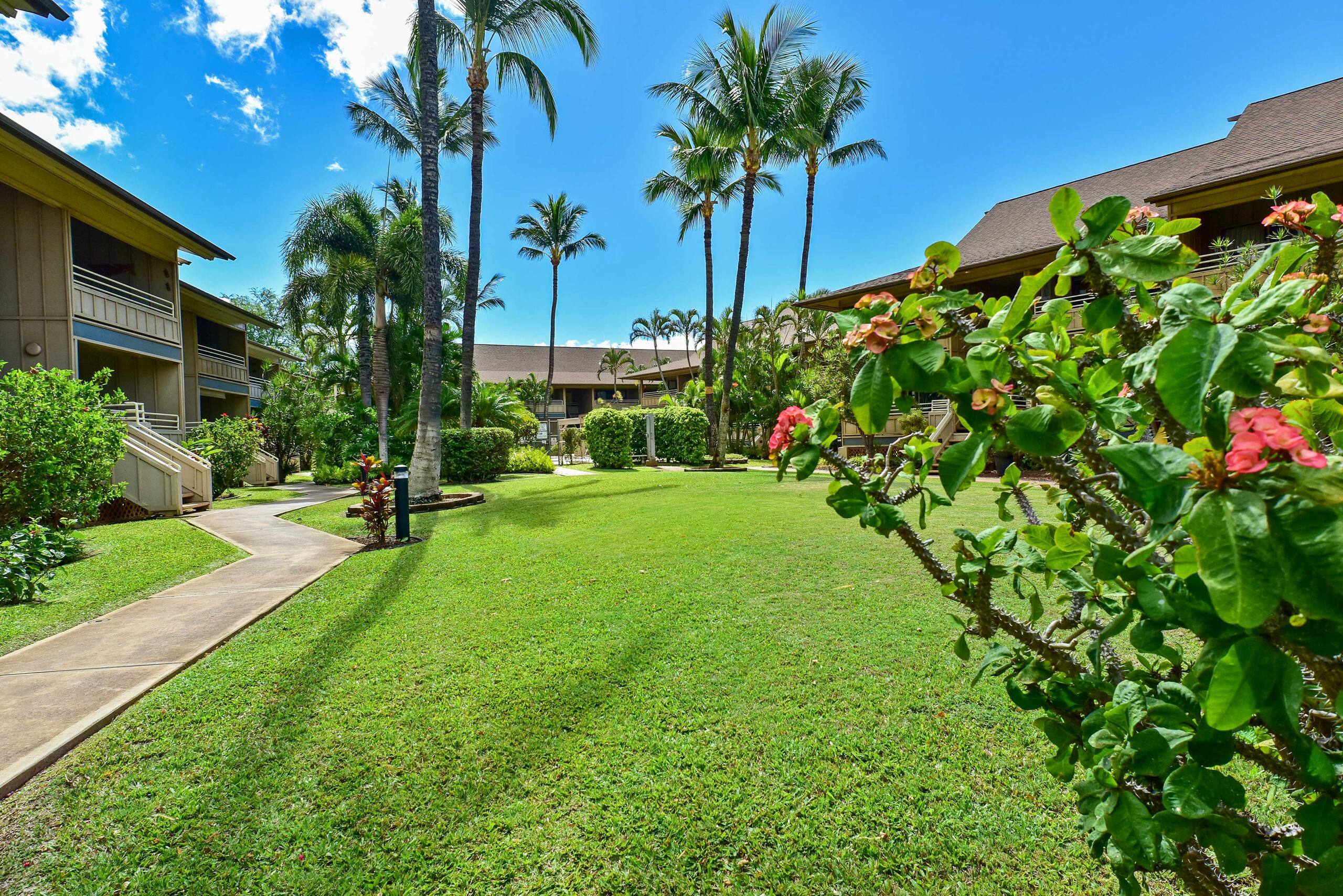 Condo in Kihei · ★4.81 · 1 bedroom · 2 beds · 1 private bath - Image 20