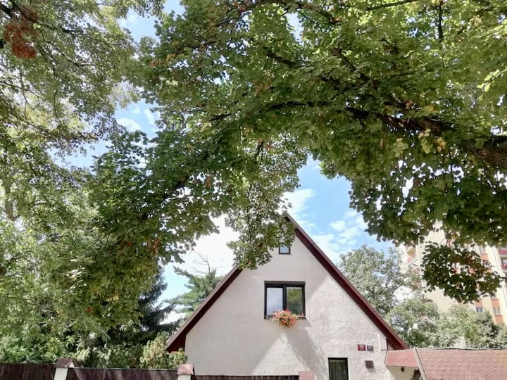 Prague House In Green Oasis 10min To The Center - 