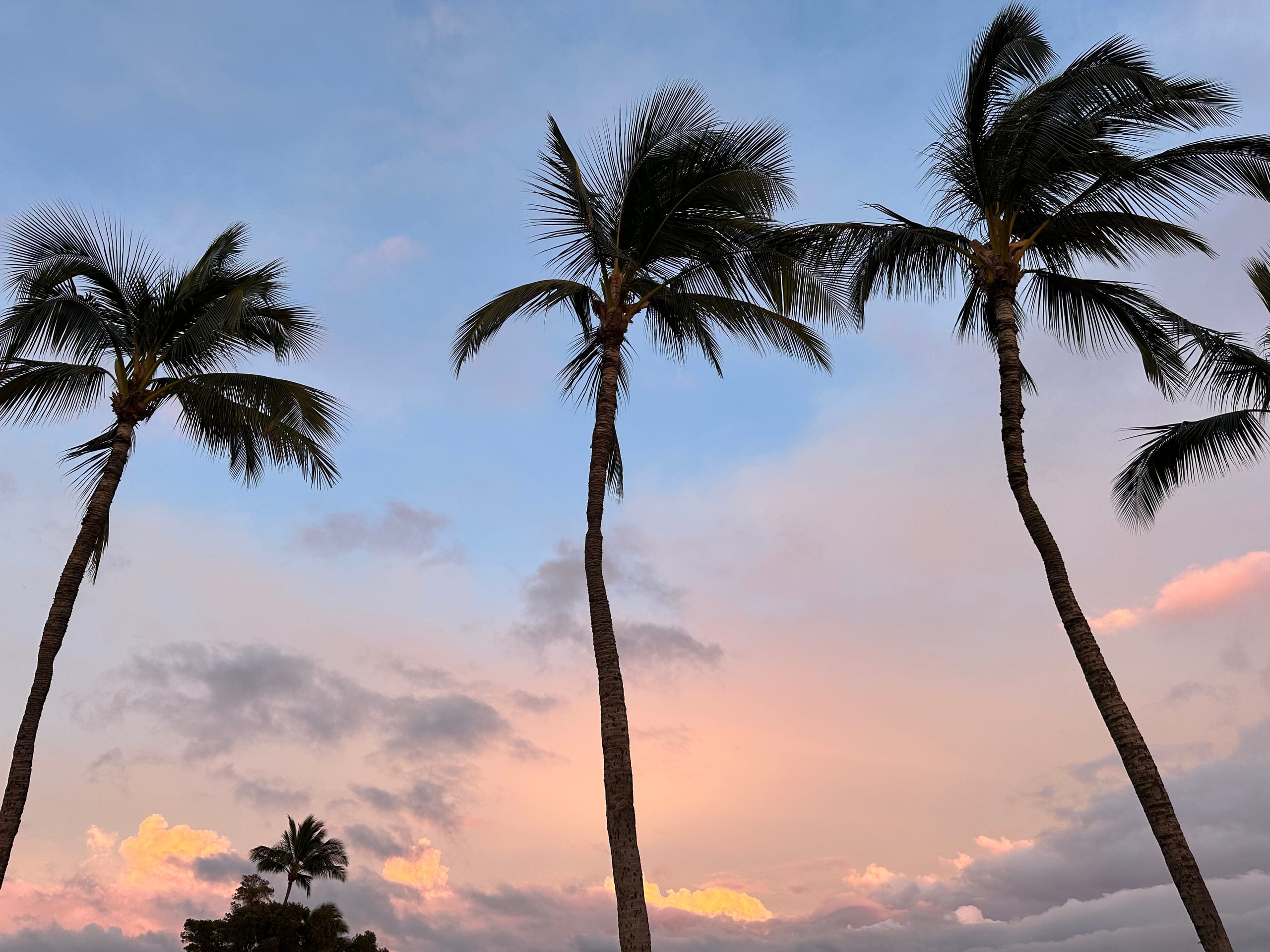 Secluded 3bd/2ba Beach Bungalow in Central Kihei - Image 95