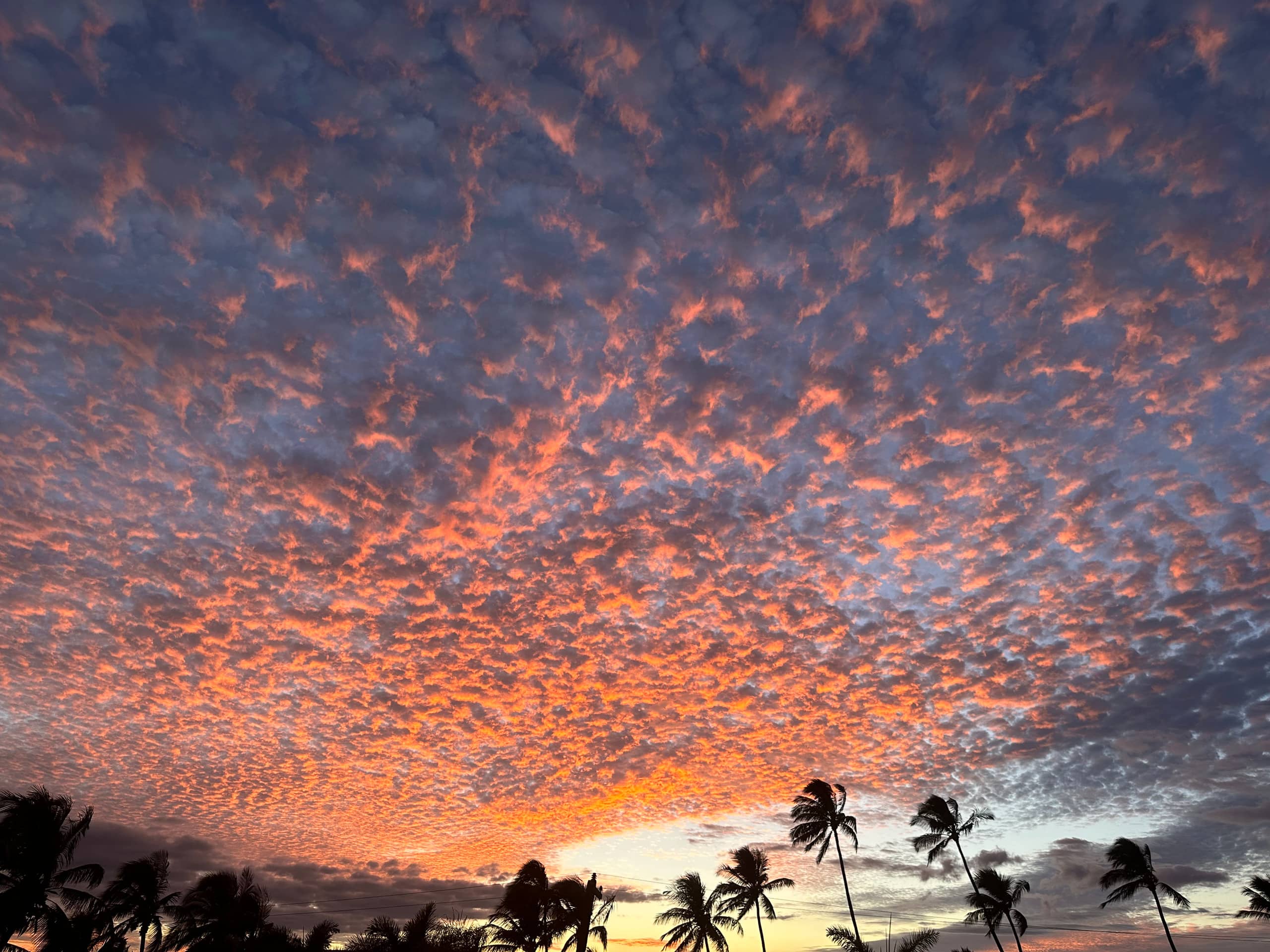 Secluded 3bd/2ba Beach Bungalow in Central Kihei - Image 100