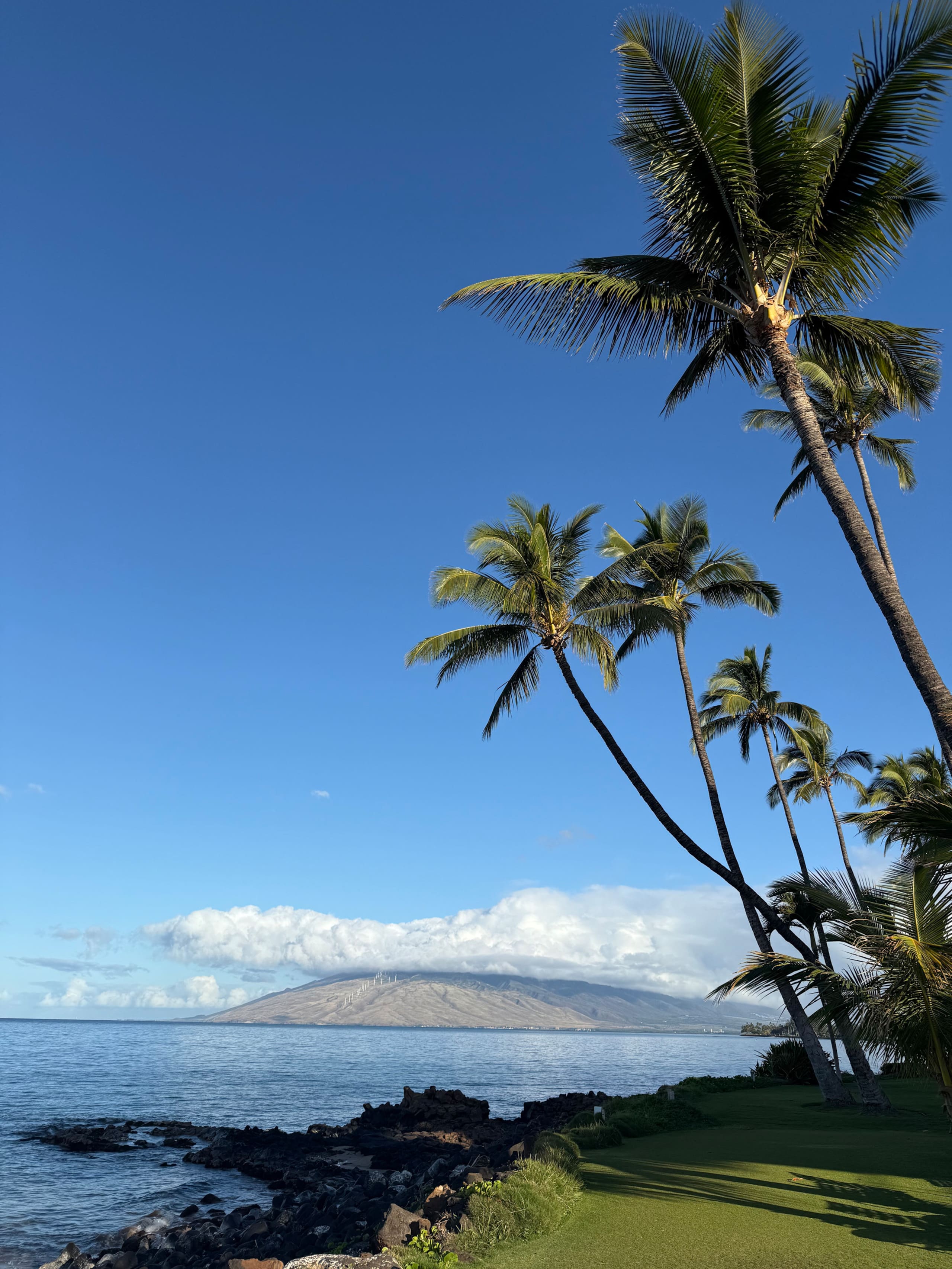 Secluded 3bd/2ba Beach Bungalow in Central Kihei - Image 92