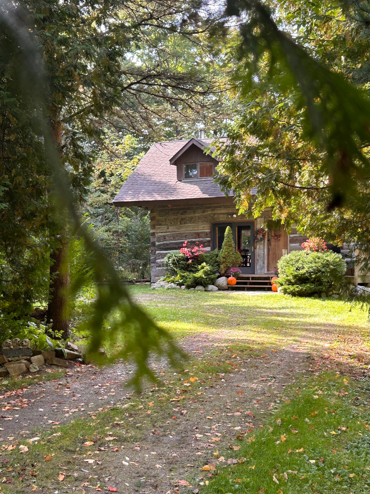 A charming log cabin is nestled among lush greenery, framed by trees. The entrance features a welcoming porch adorned with colorful pumpkins. A winding path leads up to the door, inviting exploration of the serene outdoor surroundings.