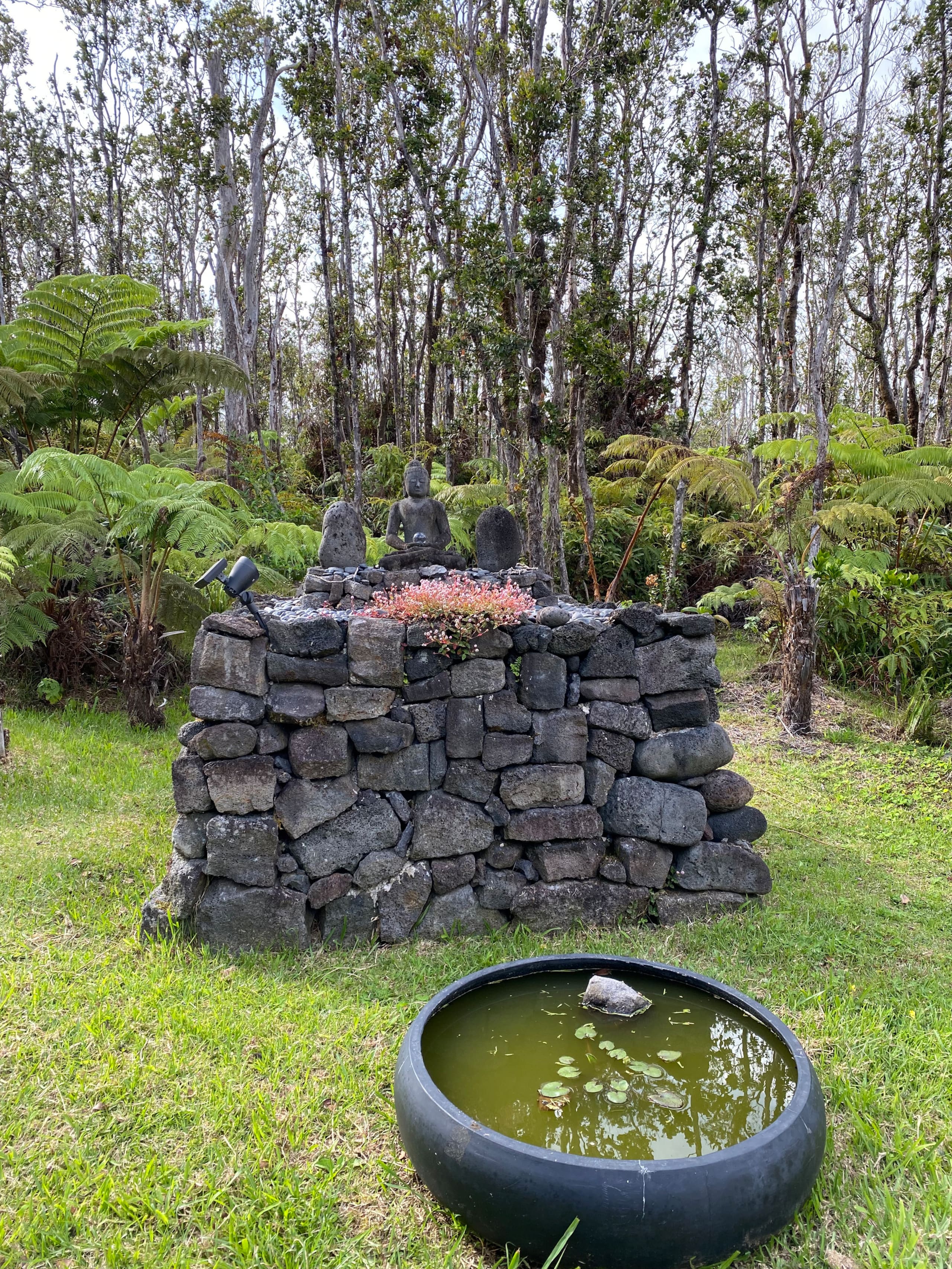 Home in Volcano · ★4.99 · 2 bedrooms · 2 beds · 2 private baths - Image 3