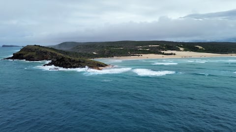 Orchid Oasis-Orchid Beach, K’Gari (Fraser Island)