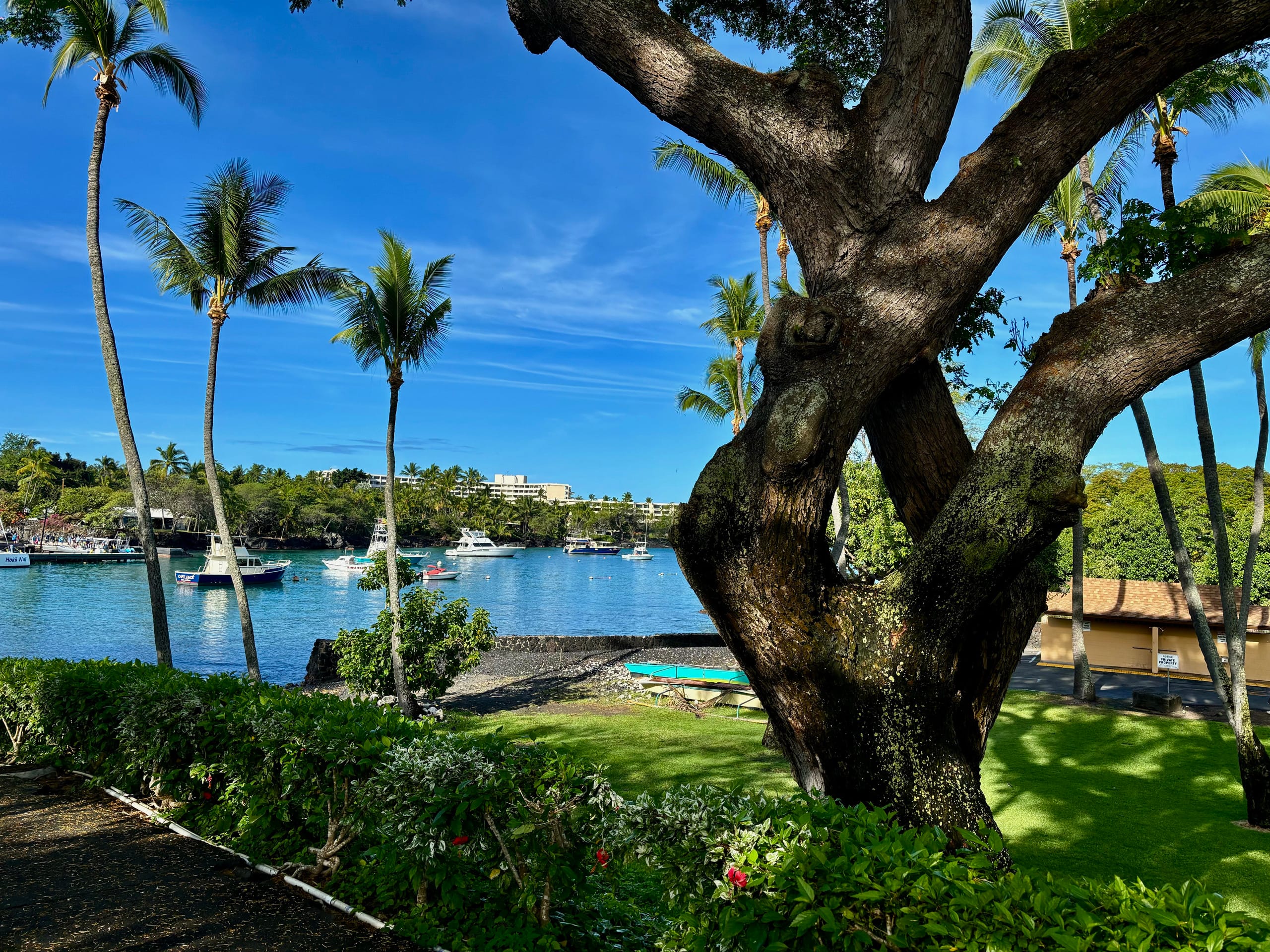 Condo in Kailua-Kona · ★4.96 · 1 bedroom · 1 bed · 1 bath - Image 17