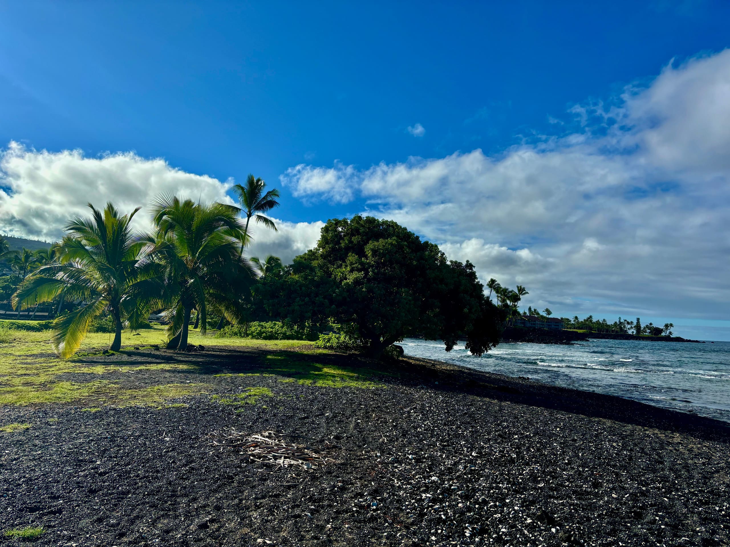 Condo in Kailua-Kona · ★4.96 · 1 bedroom · 1 bed · 1 bath - Image 18