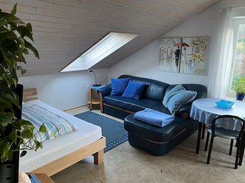 Bright, cozy apartment in a forest edge location.