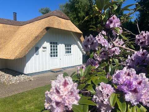 Unique cottage with access to tennis court & beach