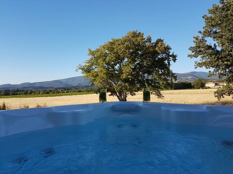 Characterful Mas in Provence with private SPA