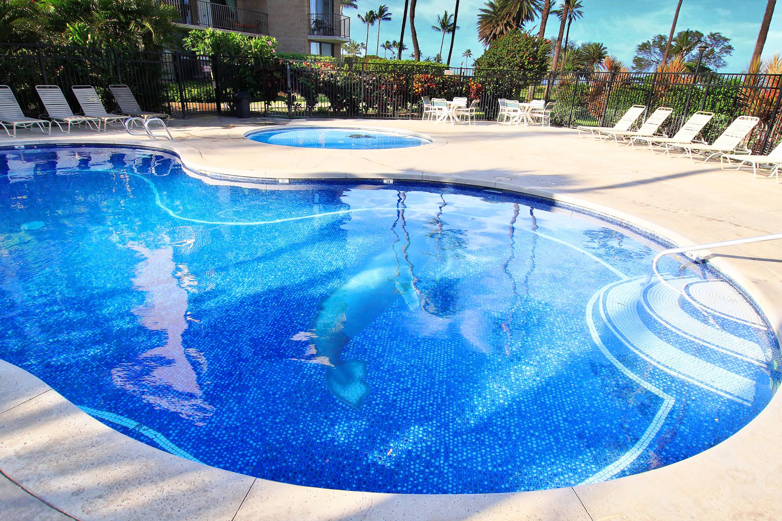 PREMIUM OCEAN VIEW REMODELED Condo * OCEANFRONT - Image 40