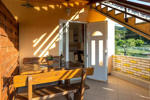 Successful Airbnb property: App. Denis-Luka, Dugi Otok port 52 a in Rava
