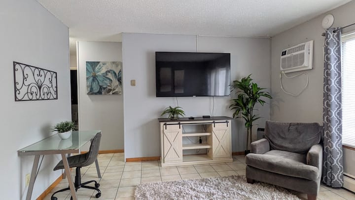 Two Queen Beds- Entire 1 Bedroom Apt #C307 - White Sands Beach, MN