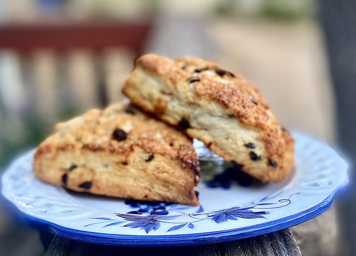 A close-up view of two freshly baked scones placed on a decorative blue plate featuring floral details. The scones, golden brown with dark chocolate chips, are positioned slightly askew, showcasing their soft texture and inviting appearance against a blurred outdoor background.