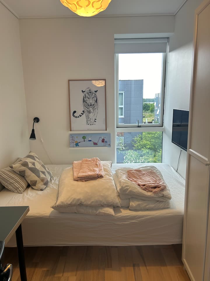 Habitación 1