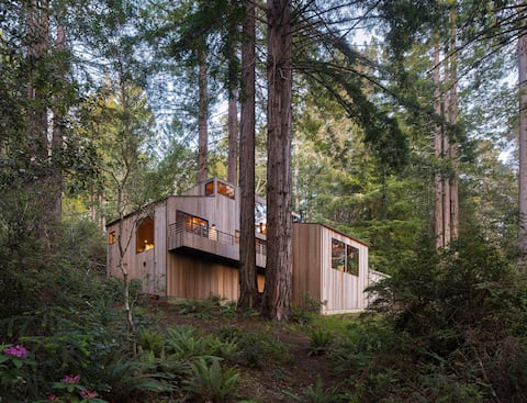Sea Ranch Forest Retreat with Ocean Views