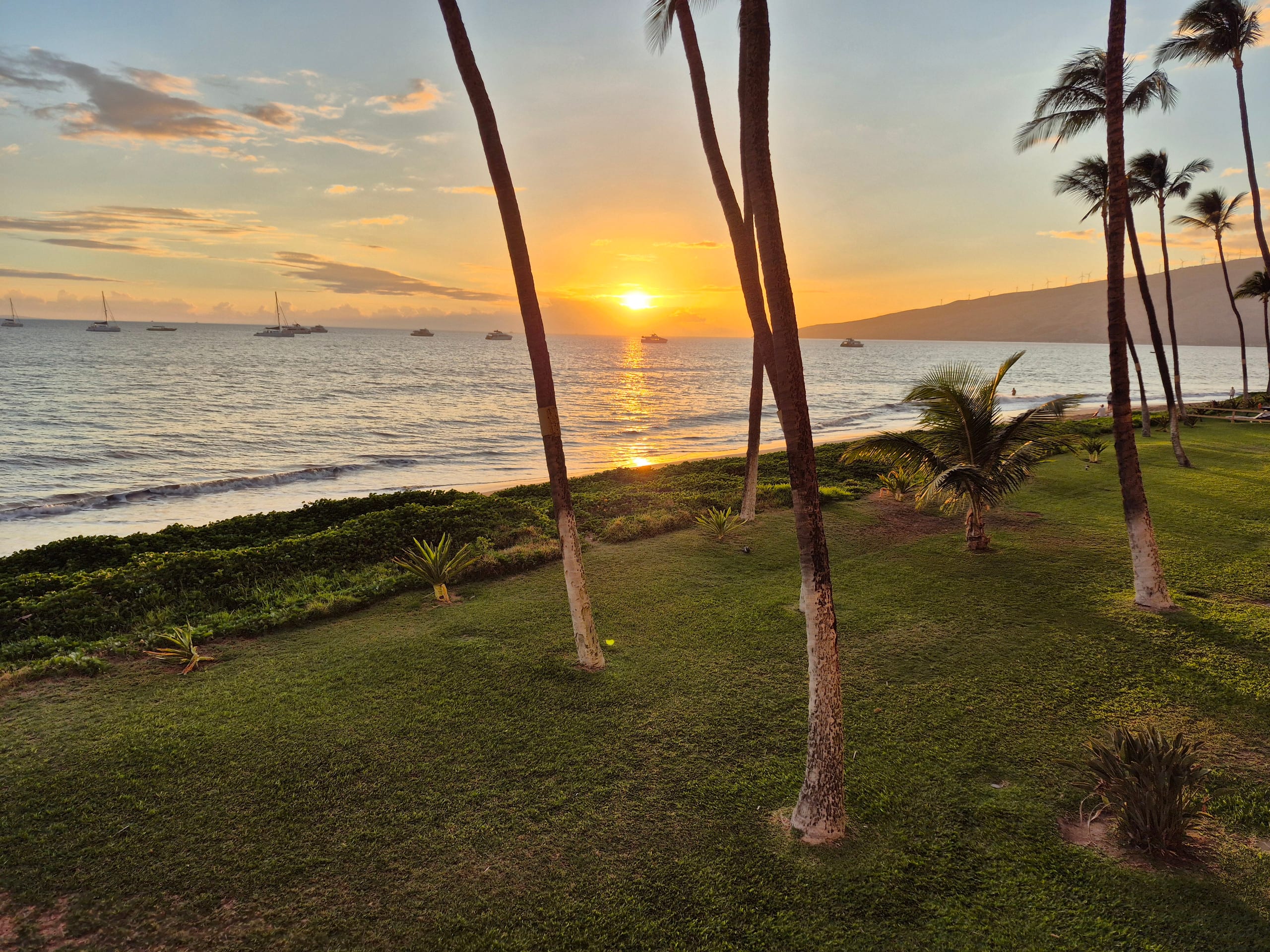 Condo in Kihei · ★4.85 · 1 bedroom · 2 beds · 1 bath - Image 13