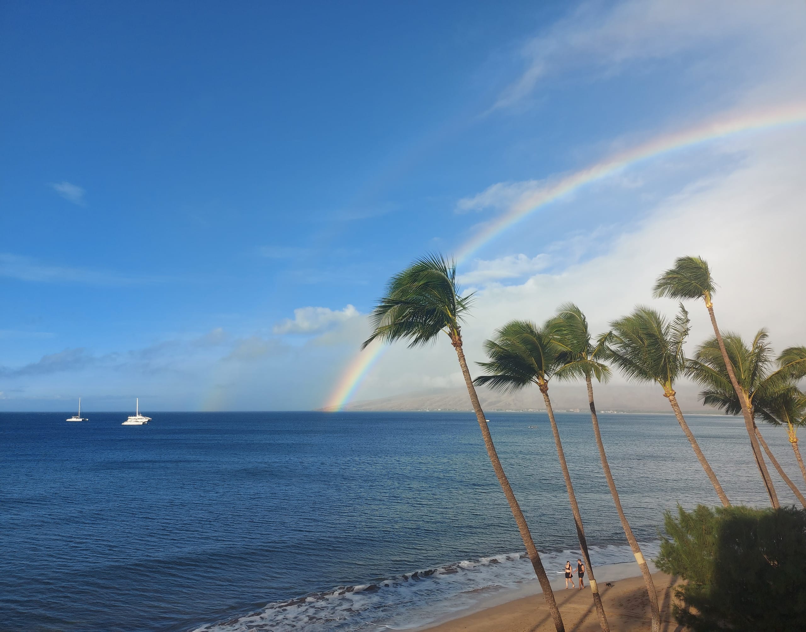 Condo in Kihei · ★4.85 · 1 bedroom · 2 beds · 1 bath - Image 32